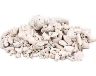 Biological media Coral Sand